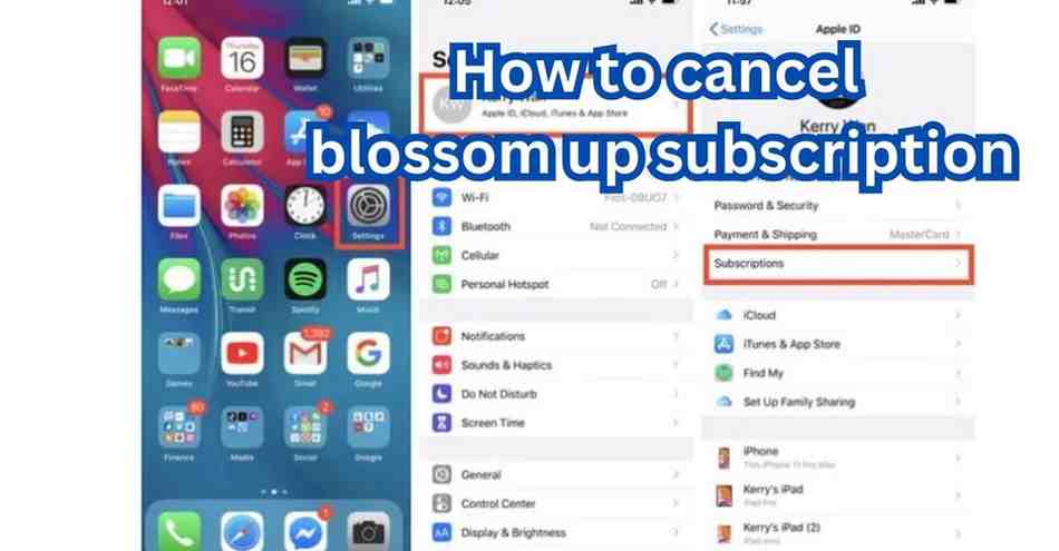 how to cancel blossom up subscription