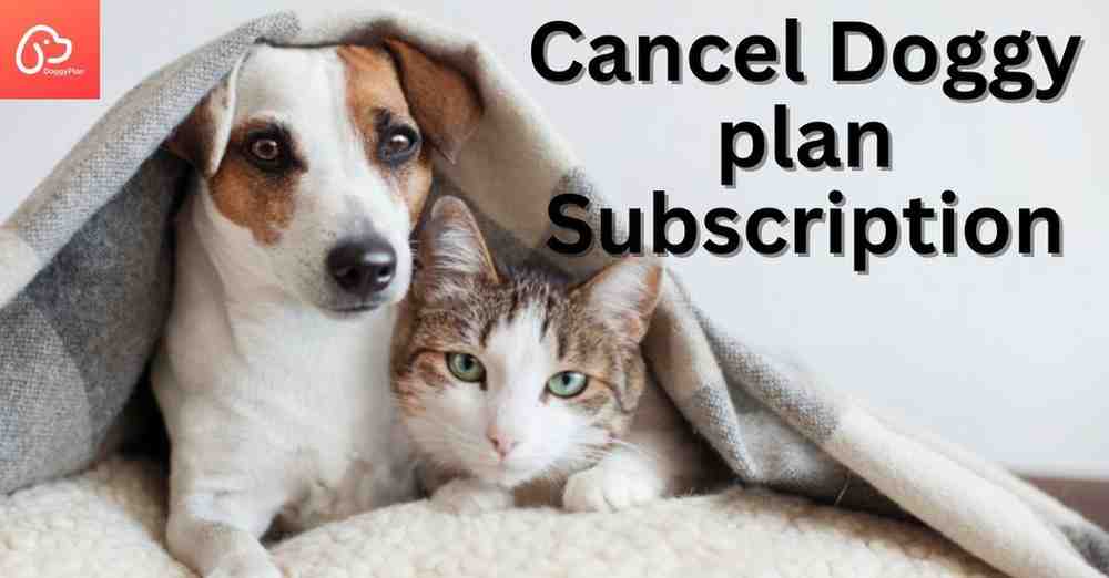 doggy plan cancel subscription